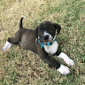 Meet your Posher, Eva